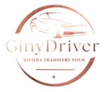 logo ginydriver