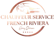 logo ginydriver